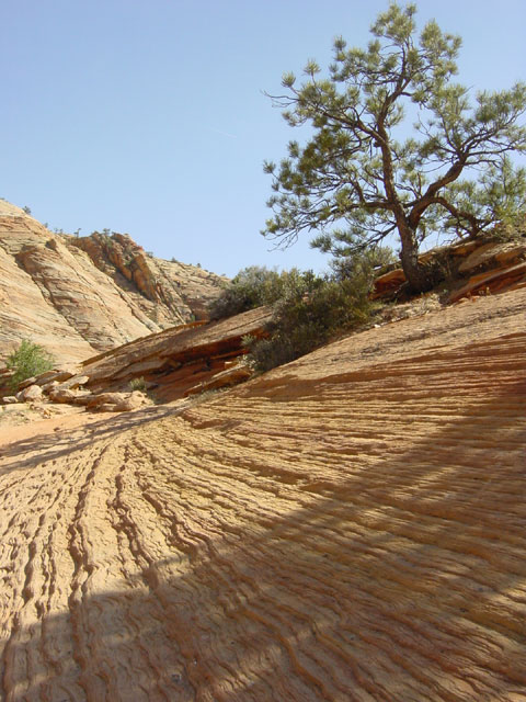 Checkerboard Mesa 